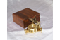 Meridiana bussola in ottone lucido con box in legno